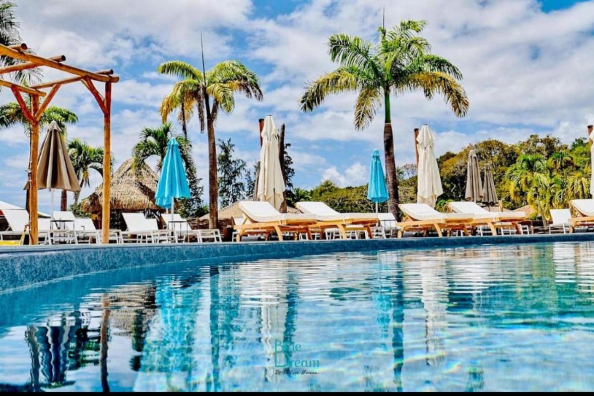 La Ruche De Maia - Blue Dream Beach - Piscine - Jardin - Plage Grand-Bourg Kültér fotó