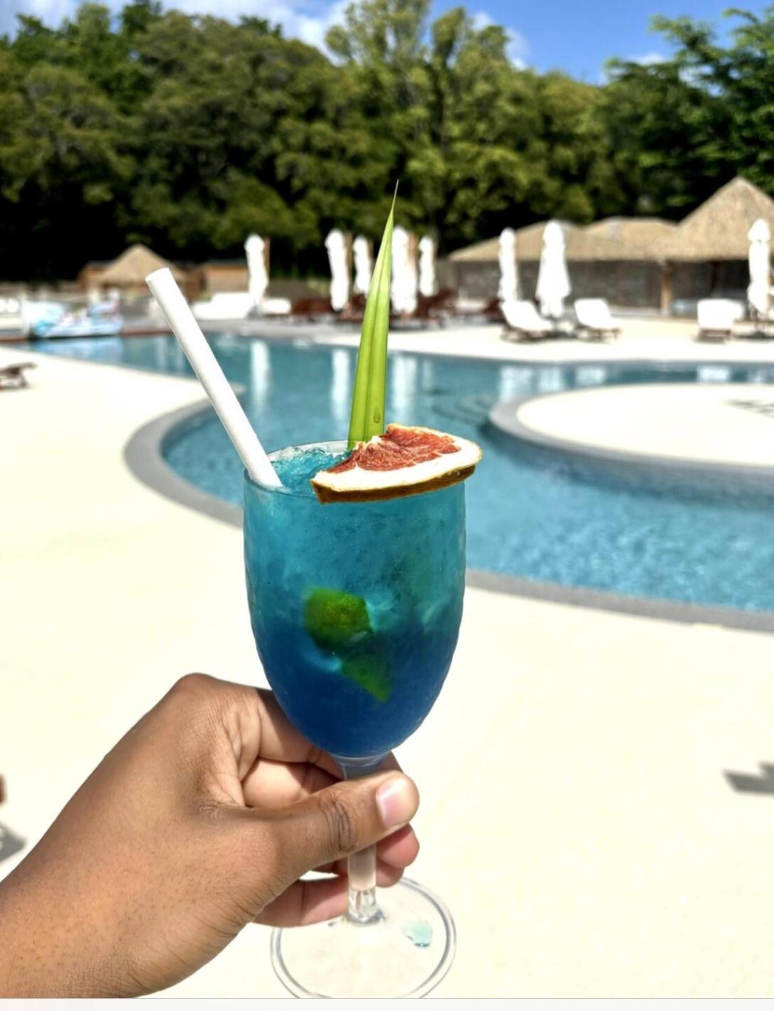 La Ruche De Maia - Blue Dream Beach - Piscine - Jardin - Plage Grand-Bourg Kültér fotó