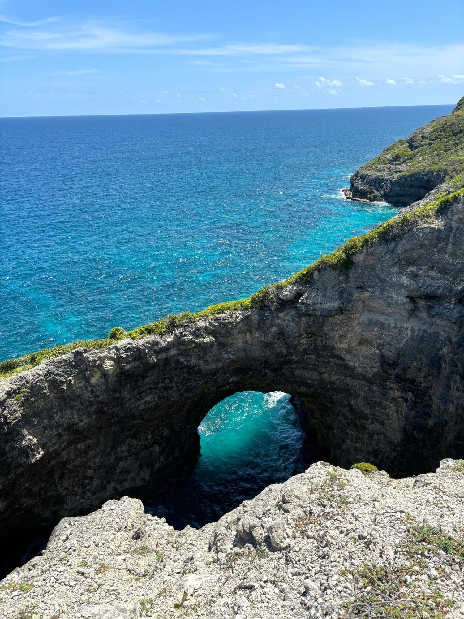 La Ruche De Maia - Blue Dream Beach - Piscine - Jardin - Plage Grand-Bourg Kültér fotó
